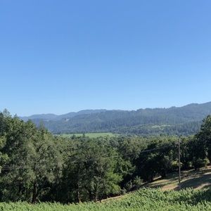 Meet your Posher, Sofia